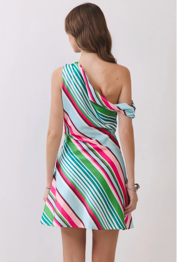 Woman standing in striped mini dress, back view
